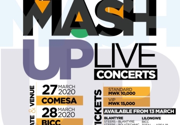 Namadingo: The Mash Up Live Concert